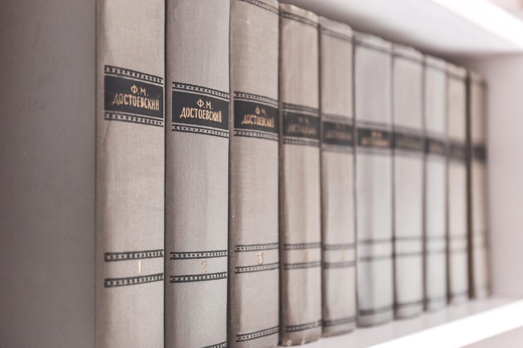 Des livres dans une étagères 
