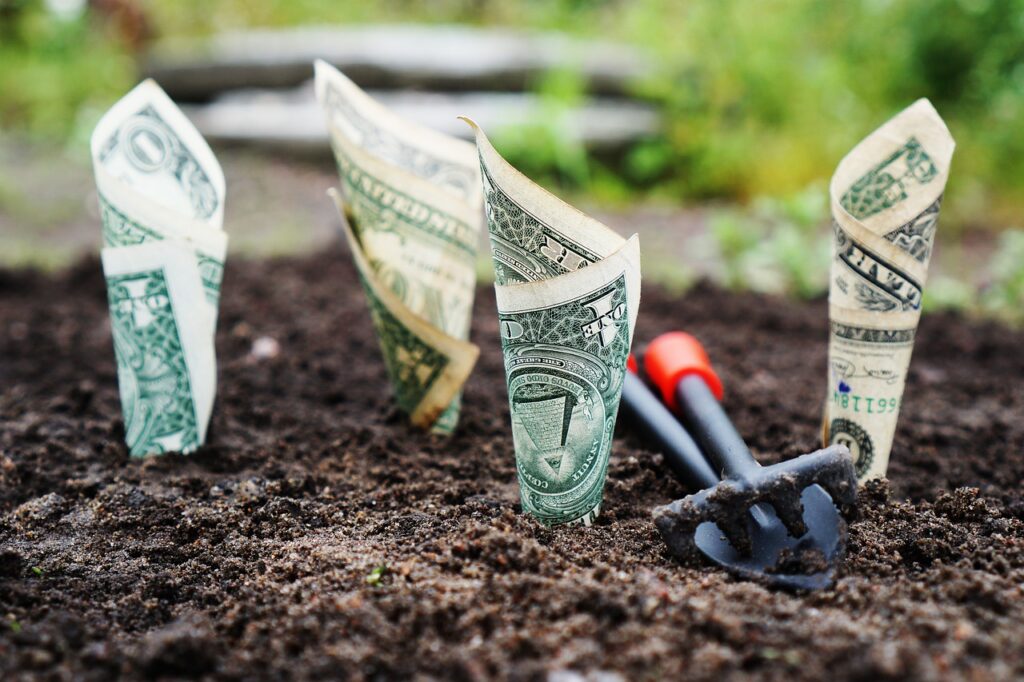 Des billets d'Argent planté dans la terre 